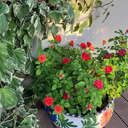 Casa Tranquil Sleeps 4 شقة Quesa